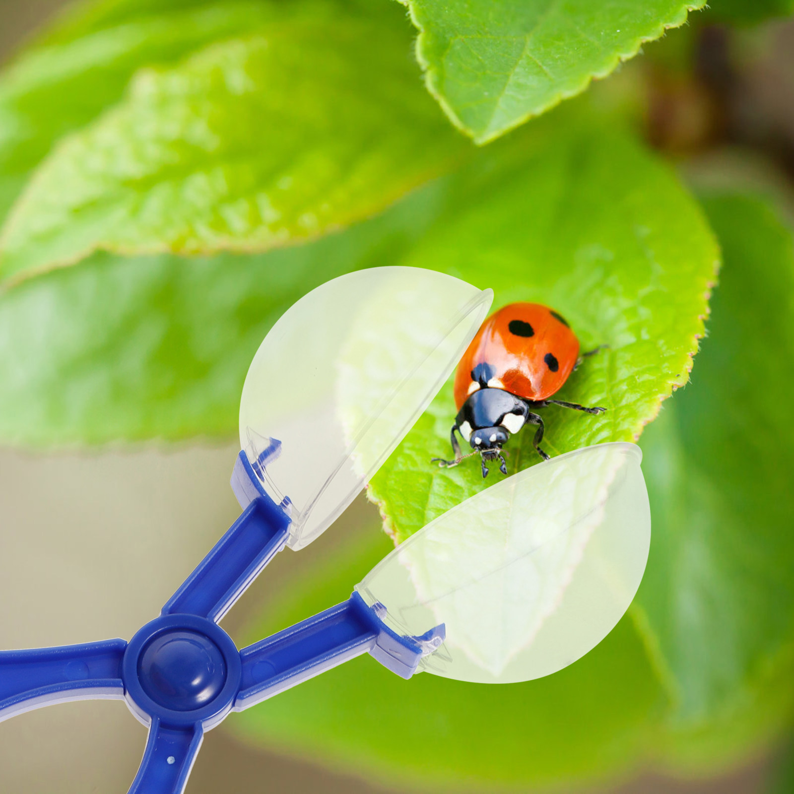 8Pcs Insect Catcher Scissors K - Kids Outdoor Fun ulasan dan harga